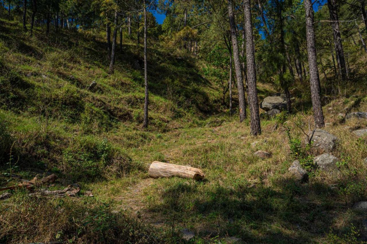 Stayvista At Floradale W Jacuzzi & Wood-Fire Pizza Kasauli Exterior photo